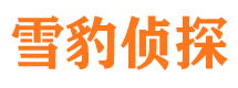 武安侦探调查公司